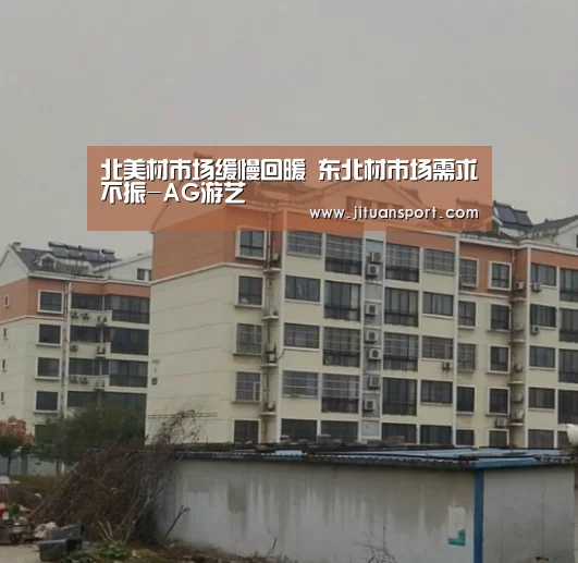 北美材市场缓慢回暖 东北材市场需求不振-AG游艺(图3) AG稳定