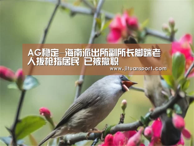 AG集团