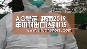 AG稳定_越南2019年木材出口达到115亿美元,超越目标(图2) AG真人