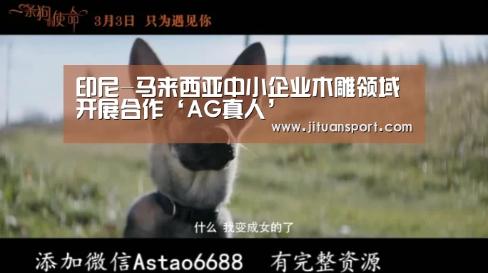 印尼-马来西亚中小企业木雕领域开展合作‘AG真人’